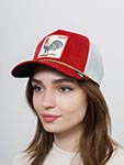 Бейсболка GOORIN BROTHERS арт. 101-1717 (красный)